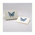 Steven M. Lewers Earth Sky Water Blue Morpho Butterfly Notecards LEWERSNC95